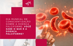 Imagem Notícia